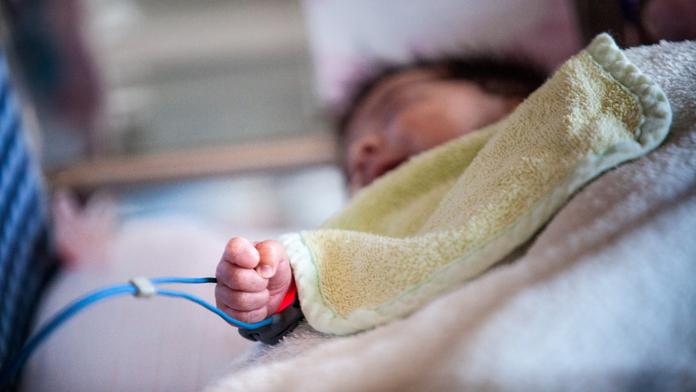 V Indii se vyvinula nebezpečná plíseň. Je extrémně odolná a napadá miminka