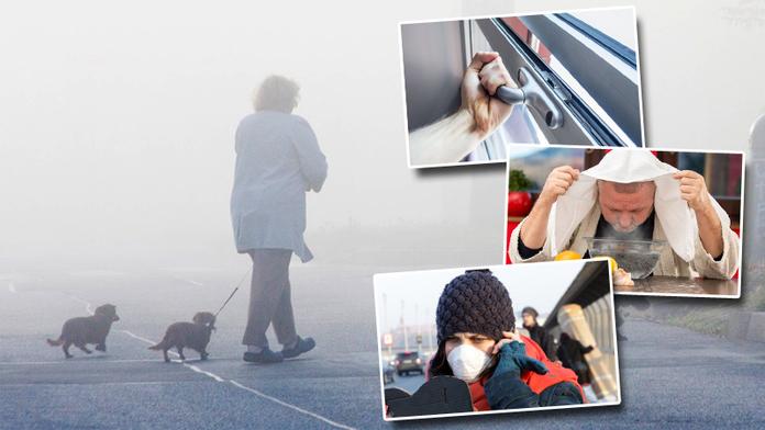 Jak se chránit před smogem? Na roušky zapomeňte, mohou škodit