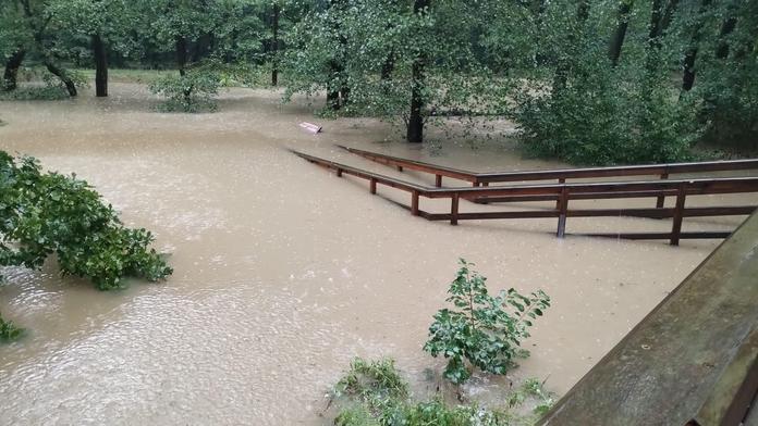 povodně v zoologické zahradě
