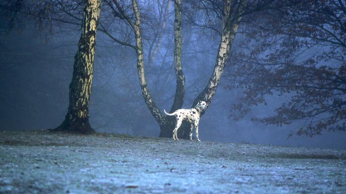 O víkendu si naposledy užijete teploty přes 10 °C, příští týden se výrazně ochladí