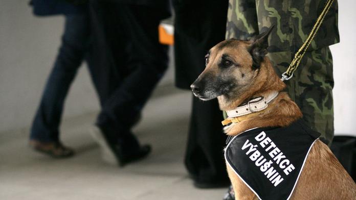 Příslušník policejního sboru kousnul pekaře a dostal padáka