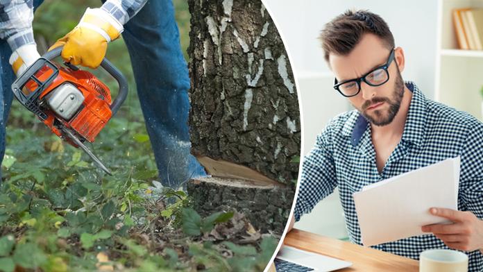 Kácení stromů na zahradě bez povolení: Hrozí stotisícová pokuta