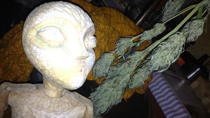 Příběh malého kluka, kterého zabila marihuana: Tvrdil, že mu něco leze po těle, říká matka