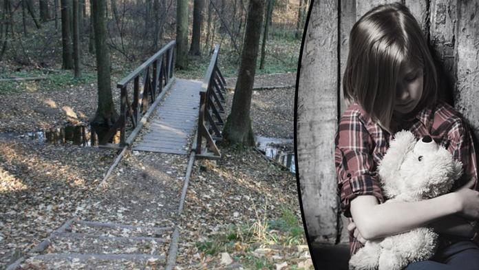 Ukážu ti zvíře, lákal úchyl děti do lesoparku. Pak znásilnil holčičku
