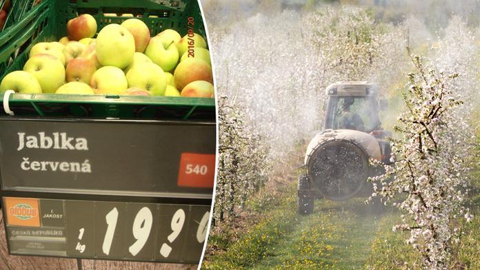 Globus nabízel "česká" jablka. Byla z Polska a s pesticidy!