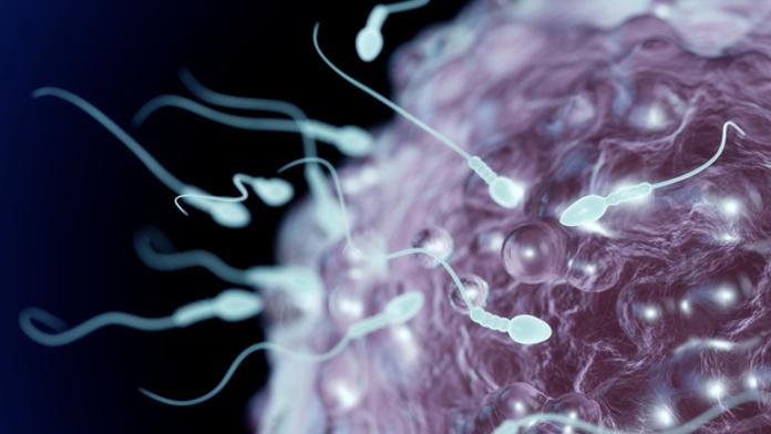 Konec lidstva? Muži přichází o spermie, dokazuje studie