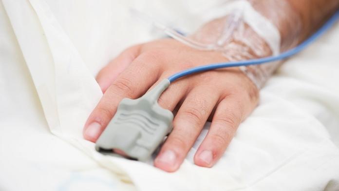 U českých hranic se objevil vzácný virus. Je smrtelně nebezpečný