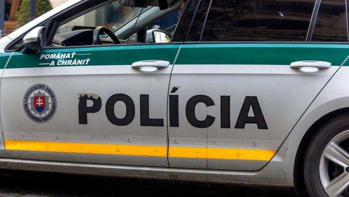 Policie dopadla muže, který utekl od soudu v poutech. Od lidí to schytala