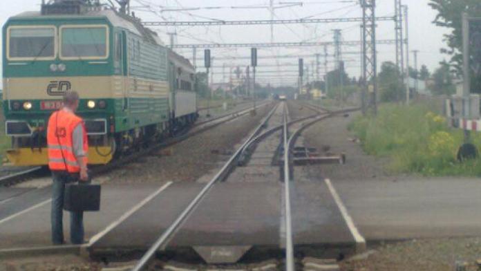 Vylezl z křoví na koleje. Rychlík ho zabil