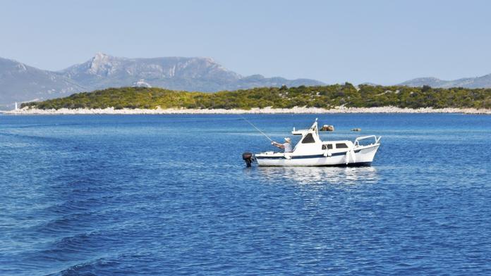 U Chorvatska potkali v moři třímetrového žraloka. Vynořil se vedle lodi