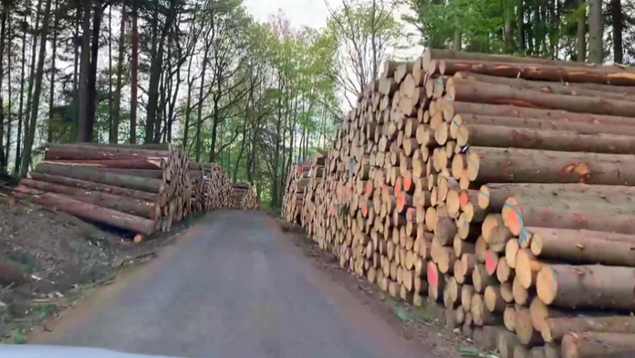 Stavební materiál je v Německu výrazně levnější. Ceny se srovnají, tvrdí expert