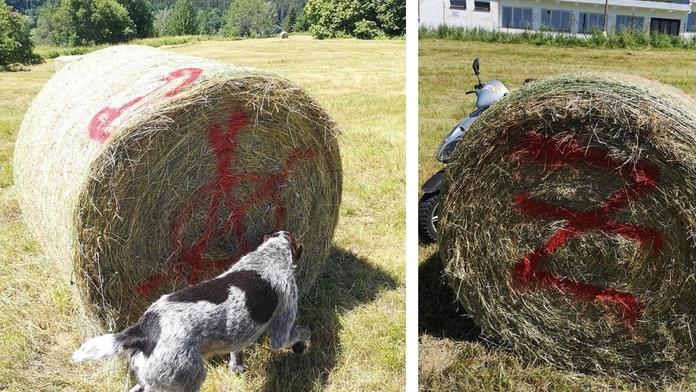 Krávy nebudou mít co žrát. Stohy slámy někdo počmáral graffiti