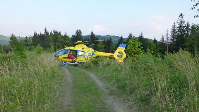 Tragická smrt v Beskydech: Dřevorubce zabil padající strom