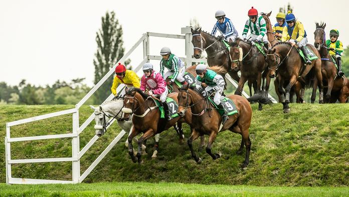 Jubilejní 130. Velkou pardubickou vyhrál Hegnus s žokejem Matuským