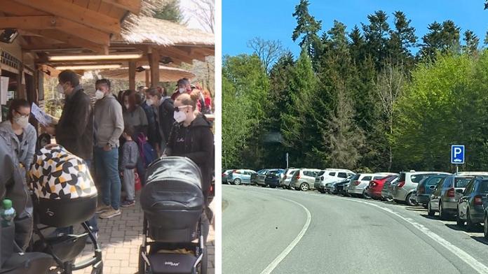 Davy lidí vyrazily do zoo. Kapacitu naplnily už dopoledne, kolabovala doprava