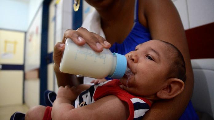 Evropě hrozí virus Zika! Přijde v létě, varují zdravotníci