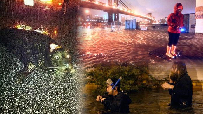 Foto z New Yorku: Bouře vyhodila do ulic Manhattanu lachtana