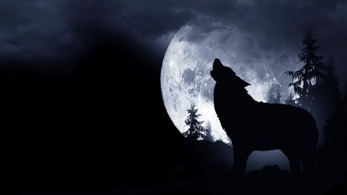 Lednový úplněk bude silný. Ovlivní prsa i vaječníky, varuje astroložka