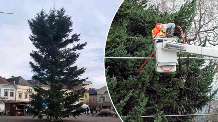 Zlaté české ručičky: Dostali koště, udělali z něj vánoční zázrak! FOTO