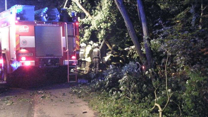 Řidič na Jihlavsku nezvládl zatáčku a dva lidé zemřeli
