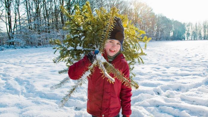 Bílé, nebo na blátě? Meteorolog konečně řekl, jak bude na Vánoce