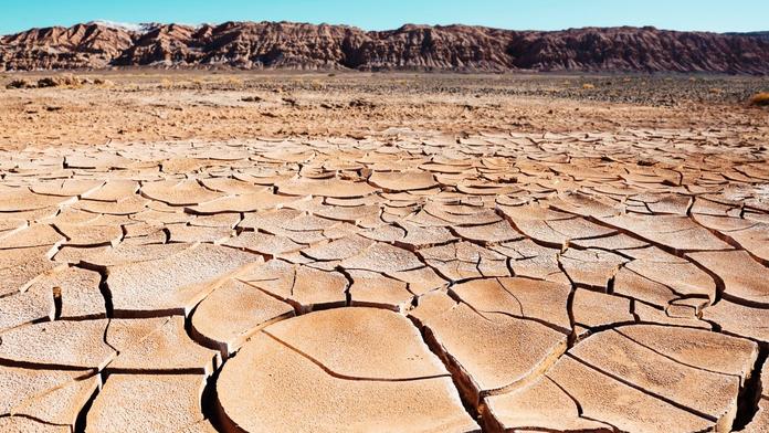 Vedra a sucho: Evropa se chystá na nejteplejší léto za 40 let