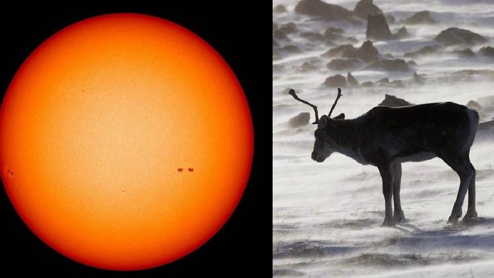 Vědci varují: Slunce brzy usne, čeká nás malá doba ledová!