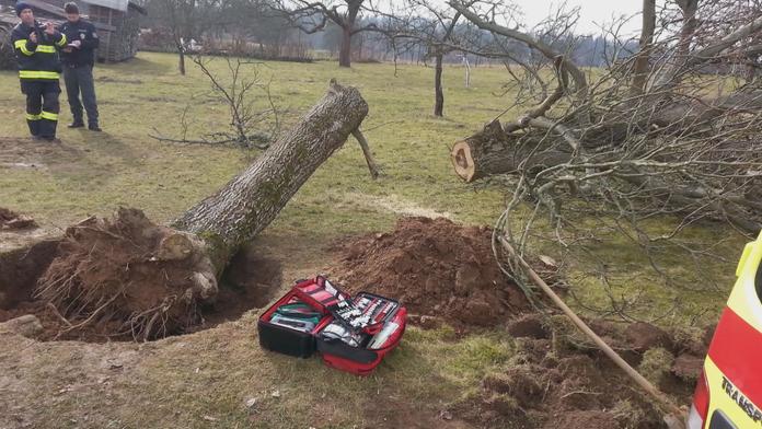 Dva muži se zranili při kácení stromů na Královéhradecku, letěl pro ně vrtulník
