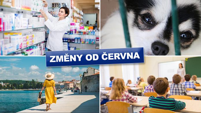 Vyšší tresty za týrání, nová žádost o ošetřovné. Tohle se od června mění