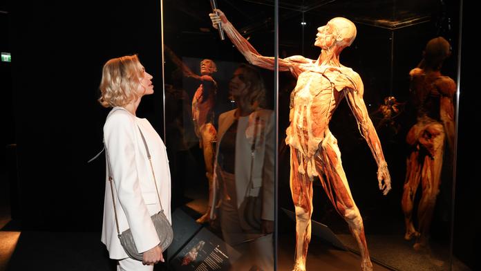 BODY WORLDS: výstava, která odhaluje pravé lidské tělo