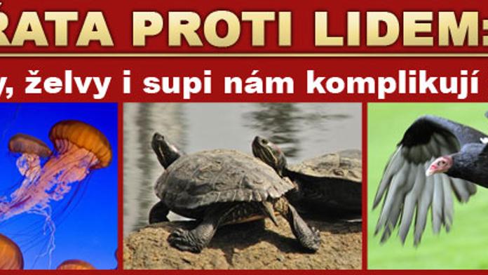 Zvířata nám dokážou zamotat hlavu a zkomplikovat život!