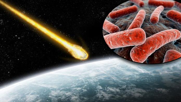 Expert varuje: Asteroid může zničit život na Zemi! Zavlečením cizích mikrobů
