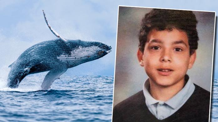 Modrá velryba má další oběť. Chlapec (13) spáchal sebevraždu