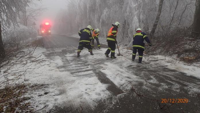 Na Bruntálsku námraza láme stromy. Jezděte jinudy, radí hasiči řidičům