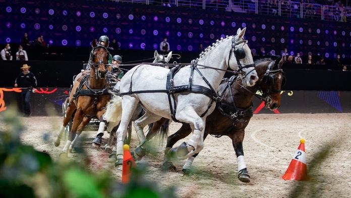 Divákům při Prague Playoffs opět rozproudí krev i závody čtyřspřeží