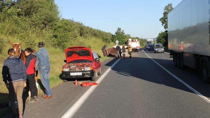 Po srážce dvou aut u Slaného utekl kůň. Druhý je zraněný