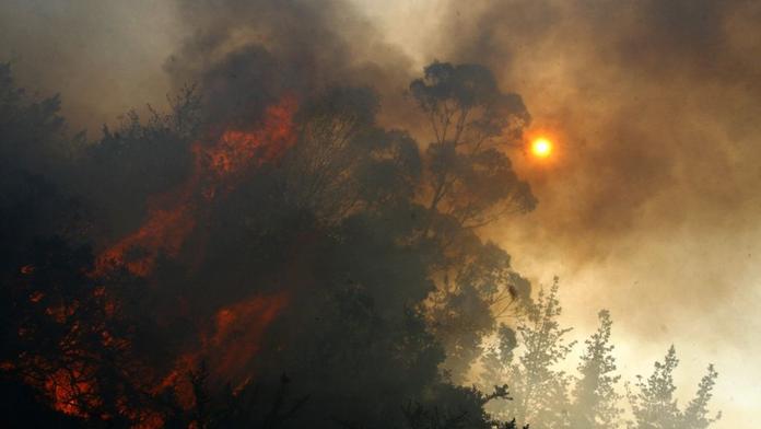 Na Dobříšsku vzplála lesní školka, hasiči ji budou hasit až do večera