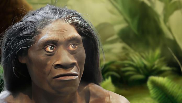 Homo floresiensis