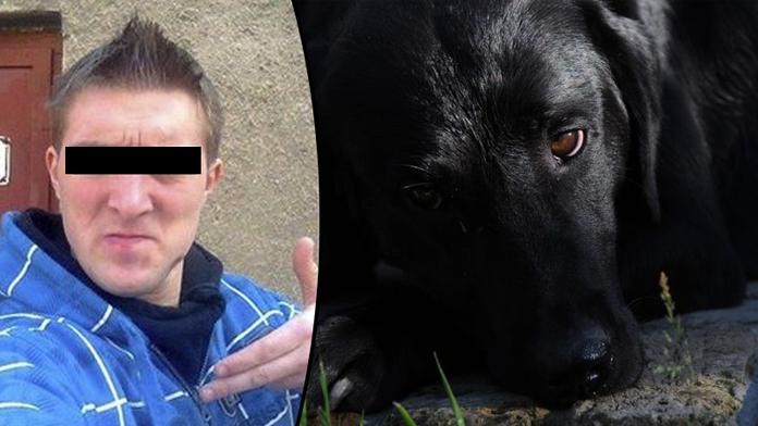 Zrůda: Jiří (24) nechtěl venčit psa, raději ho zabil a hodil do řeky! Co mu hrozí?