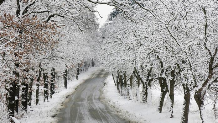 VÝSTRAHA ČHMÚ: Meteorologové varují před náledím
