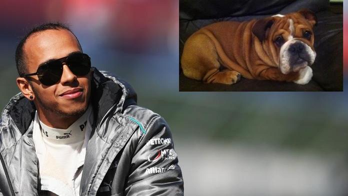 Hamiltonův pes smí do paddocku. Je to můj nejlepší kámoš, tvrdí pilot