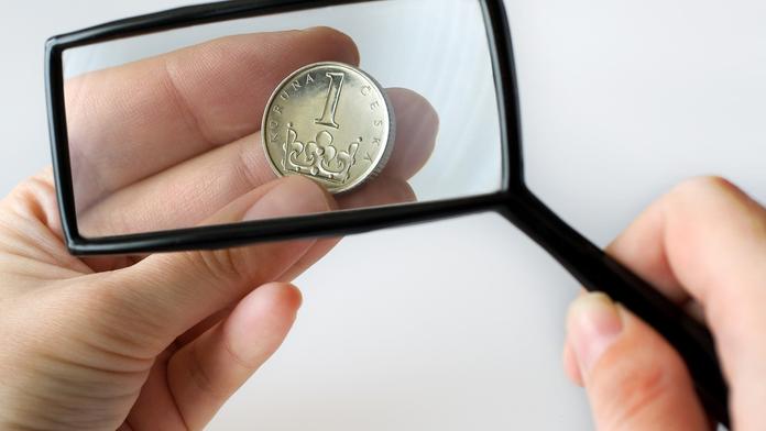 Muž se soudil o jednu korunu, případ se dostal až k Ústavnímu soudu
