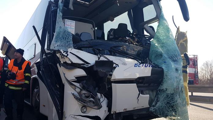 Jelen skončil po srážce uvnitř autobusu. Zranil turisty a utekl