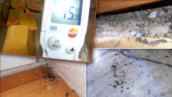 Tomuto obchodu se raději vyhněte. Nejenže tam řádí myši, ale sýry tam "chladí" při 16 °C!