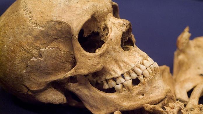 Neobvyklý nález archeologů. V Tetíně našli středověkou kostru černošky