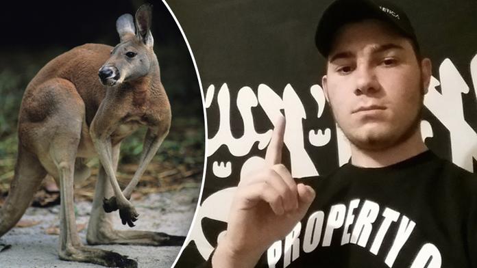 Nová zbraň džihádistů? V Austrálii chtěli využít k útoku klokana!