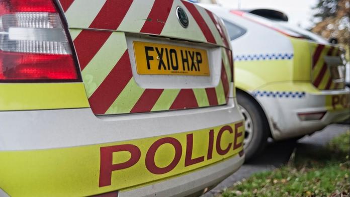 Britská policie