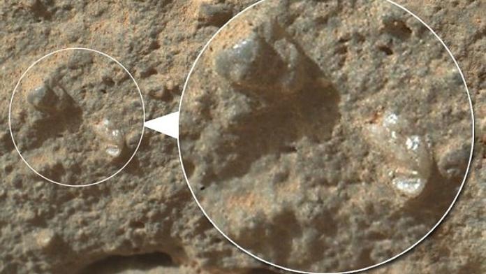 Rostou na Marsu květiny? NASA zachytila neuvěřitelné snímky
