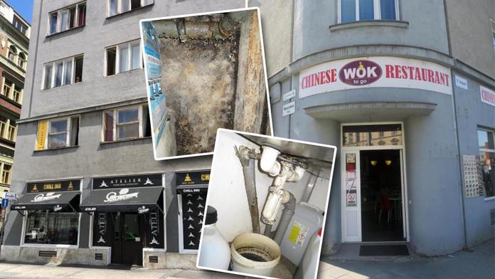 Hmyz, plíseň i špína! Podniky nabízely jídlo v těchto podmínkách
