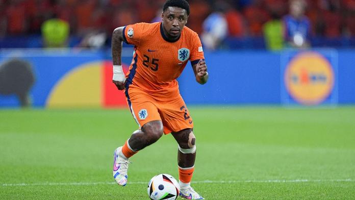 Bergwijn Nizozemsko fotbal